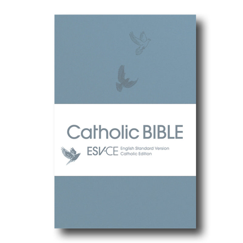 Blue Soft Tone Flexiback Bible