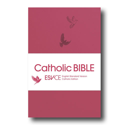 Pocket Size Red Bible