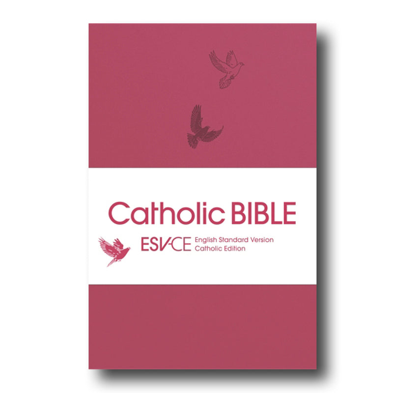 Pocket Size Red Bible