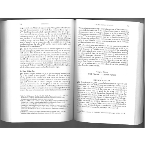Compendium of the Social Doctrine of the Church