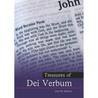 Treasures Of Dei Verbum