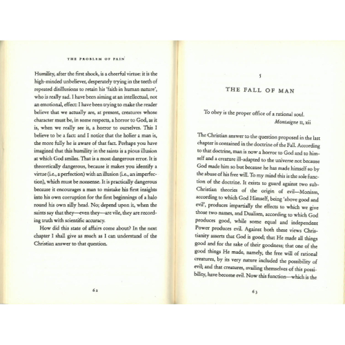The Problem of Pain