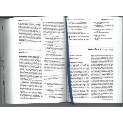 Soul Survivor NIV - Bible in One Year