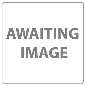 Bible Alive Magazine Bible Alive Magazine